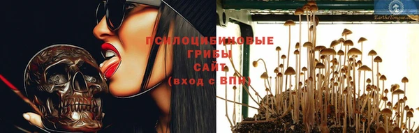 гидропоника Бородино