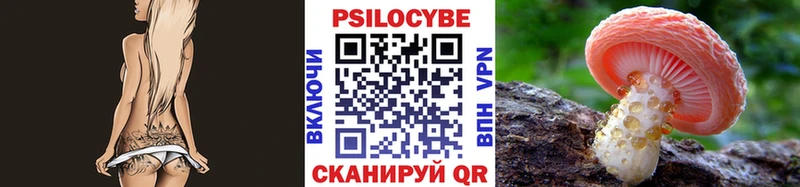 Псилоцибиновые грибы прущие грибы  даркнет сайт  Горячий Ключ 
