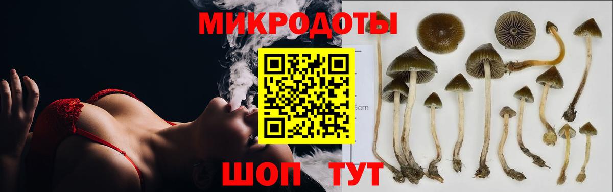 Горячий Ключ  Псилоцибиновые грибы Psilocybine cubensis  Галлюциногенные грибы GOLDEN TEACHER  Вход с VPN 